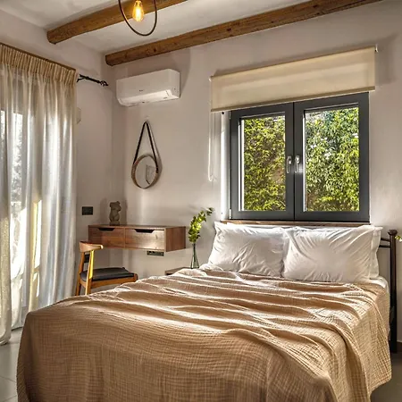 Violet Private Stone *